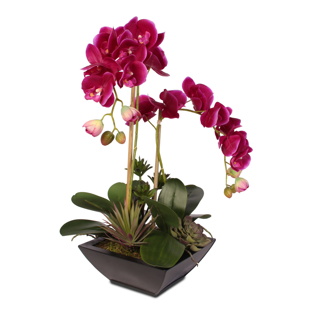 Violet Real Touch Phalaenopsis Orchid & Succulents in a Contemporary Metal Pot #F-23D