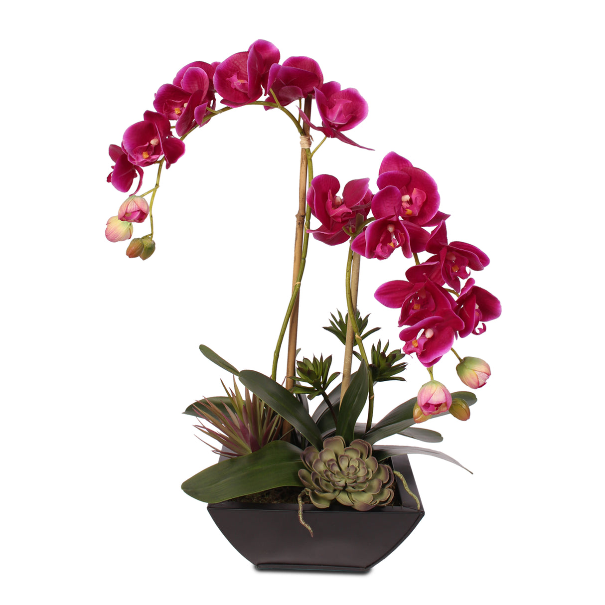 Violet Real Touch Phalaenopsis Orchid & Succulents in a Contemporary Metal Pot #F-23D