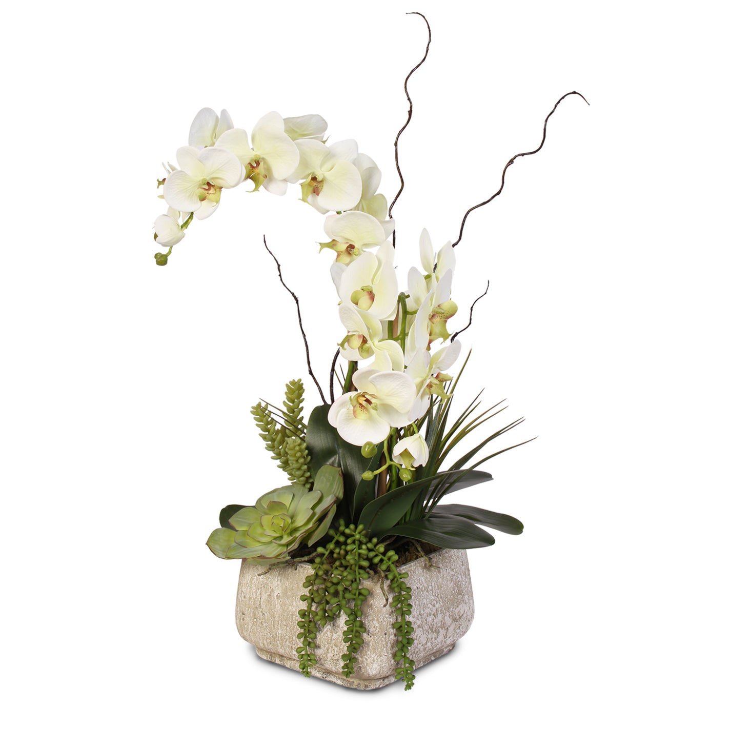 Real Touch Phalaenopsis Silk Orchid with Succulents in Stone Pot #25B