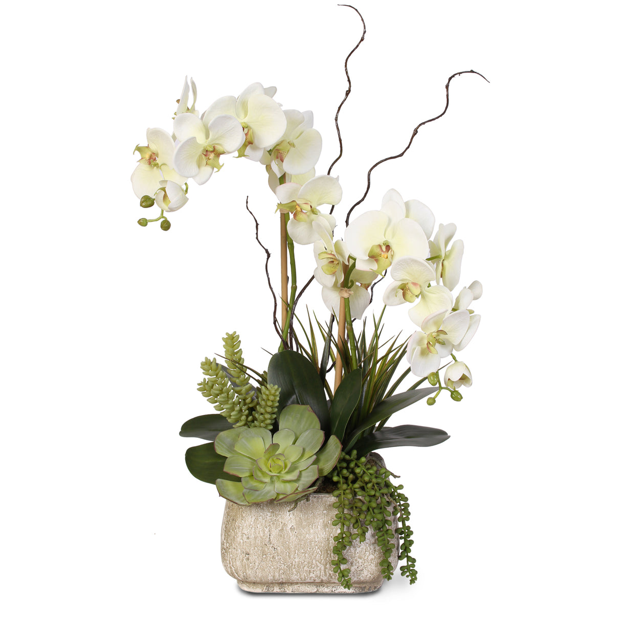 Real Touch Phalaenopsis Silk Orchid with Succulents in Stone Pot #25B