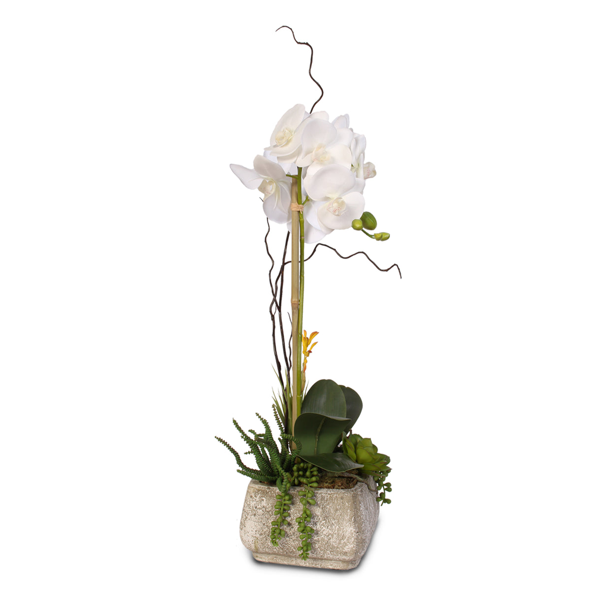Real Touch Phalaenopsis Silk Orchid with Succulents in a Cement Pot #2A