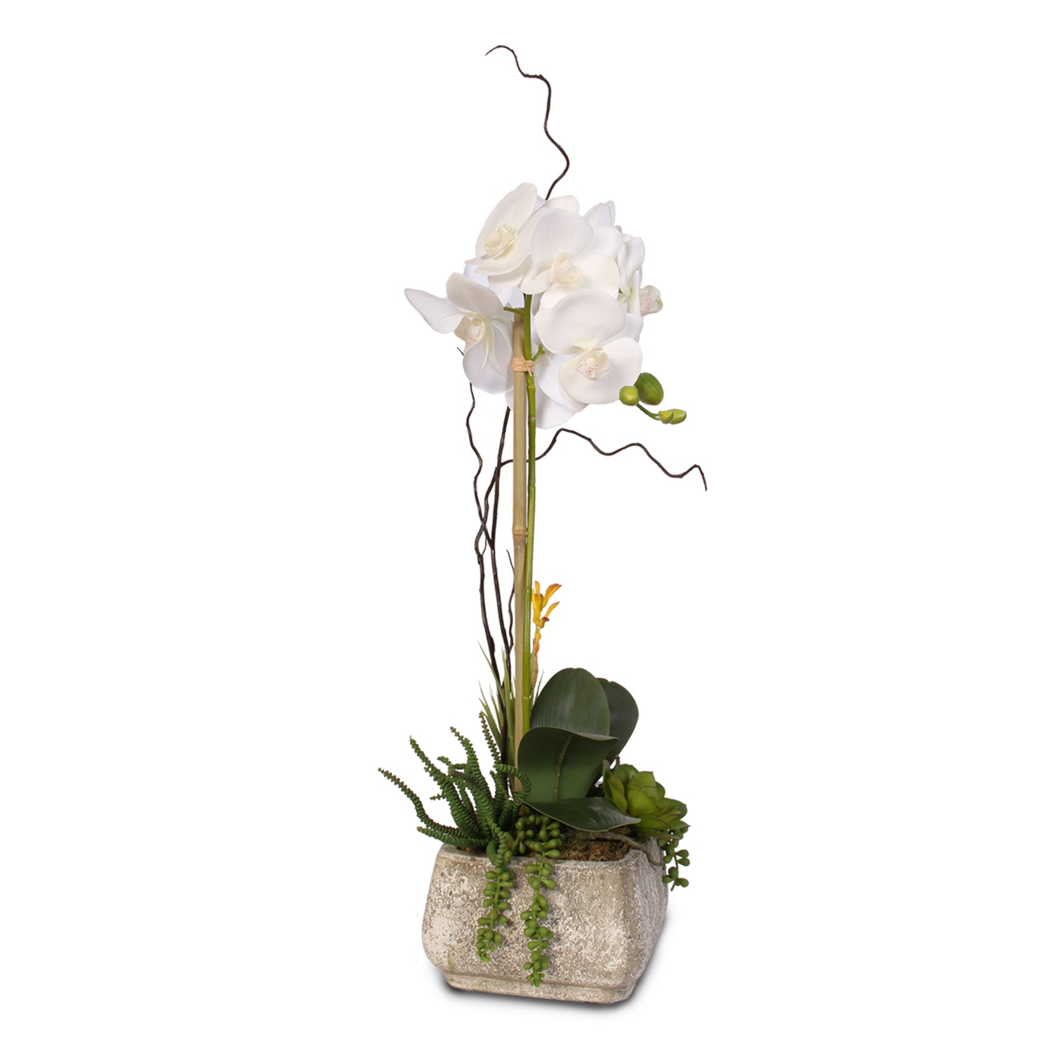 Real Touch Phalaenopsis Silk Orchid with Succulents in a Cement Pot #2A