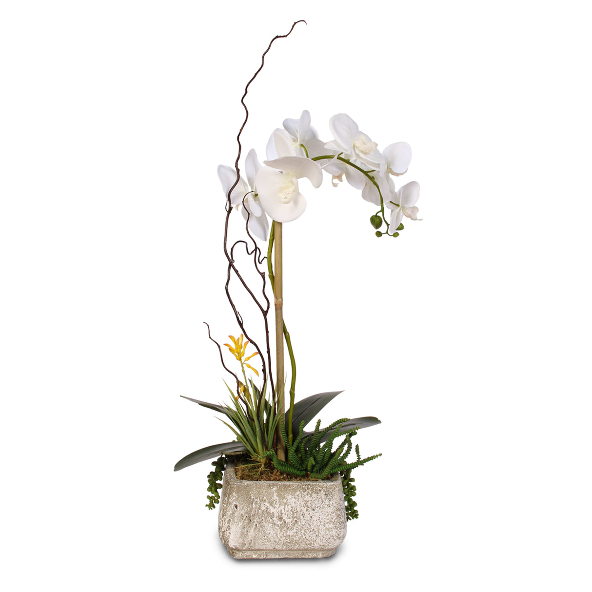 Real Touch Phalaenopsis Silk Orchid with Succulents in a Cement Pot #2A