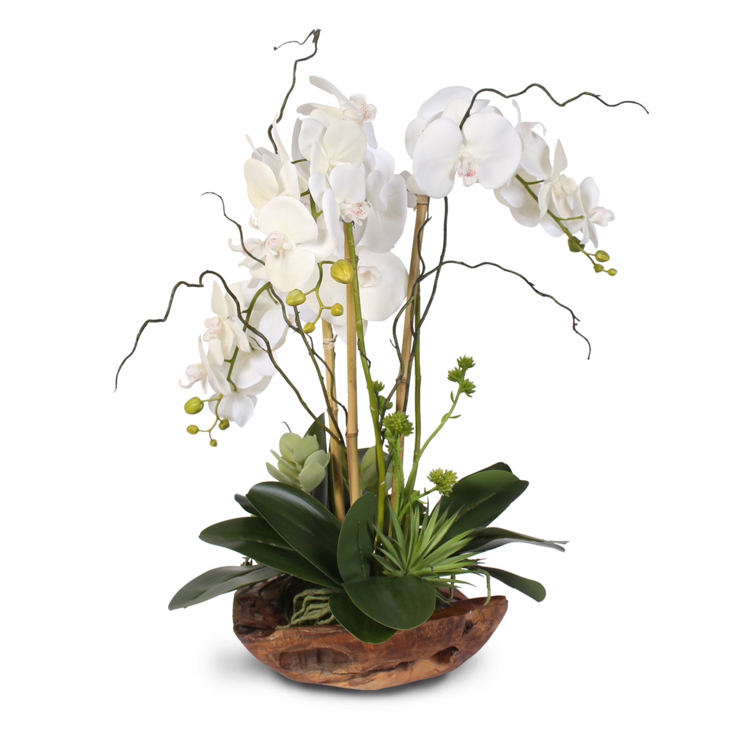 Real Touch Phalaenopsis Silk Orchid with Curly Willow in Natural Teak Wood Bowl #40C
