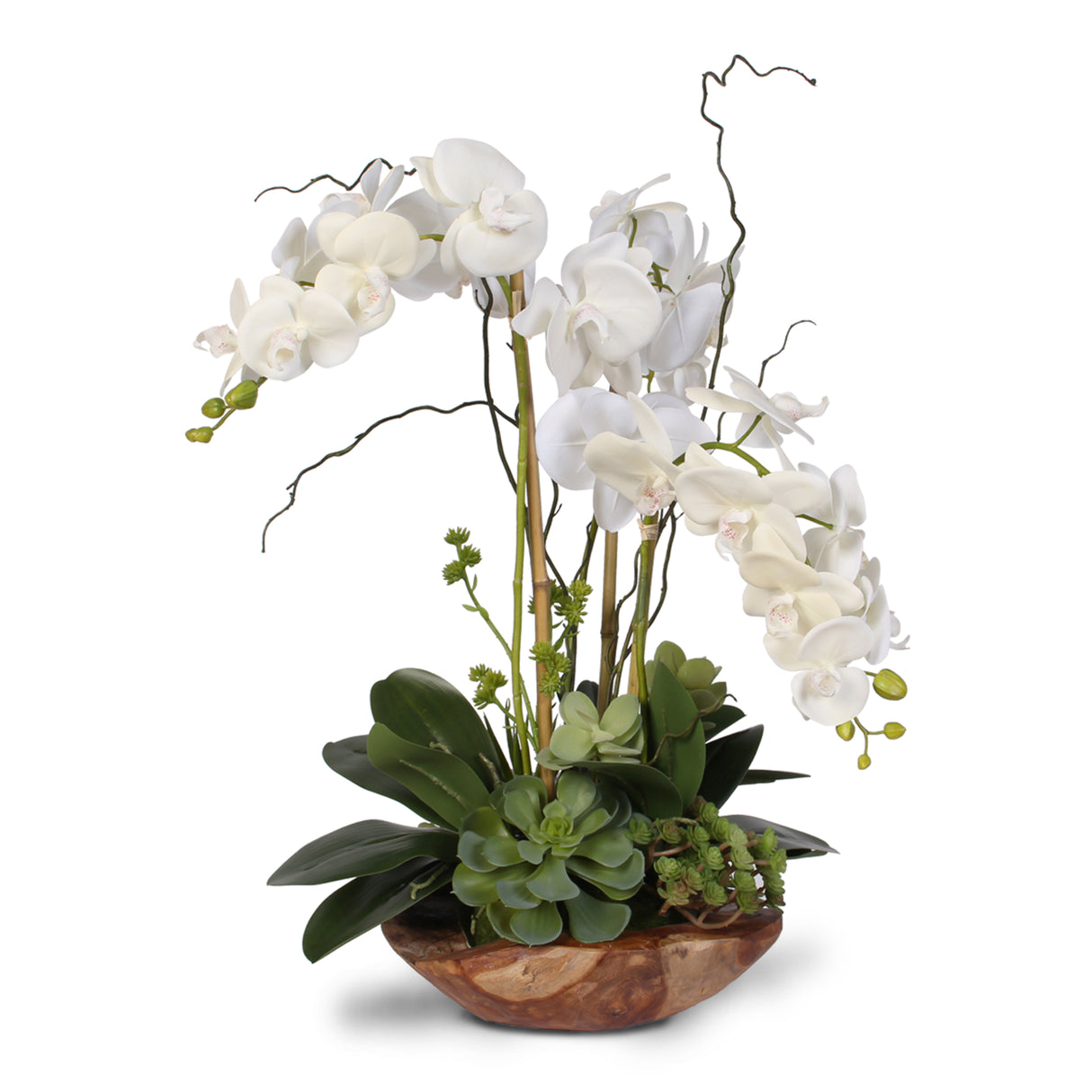 Real Touch Phalaenopsis Silk Orchid with Curly Willow in Natural Teak Wood Bowl #40C