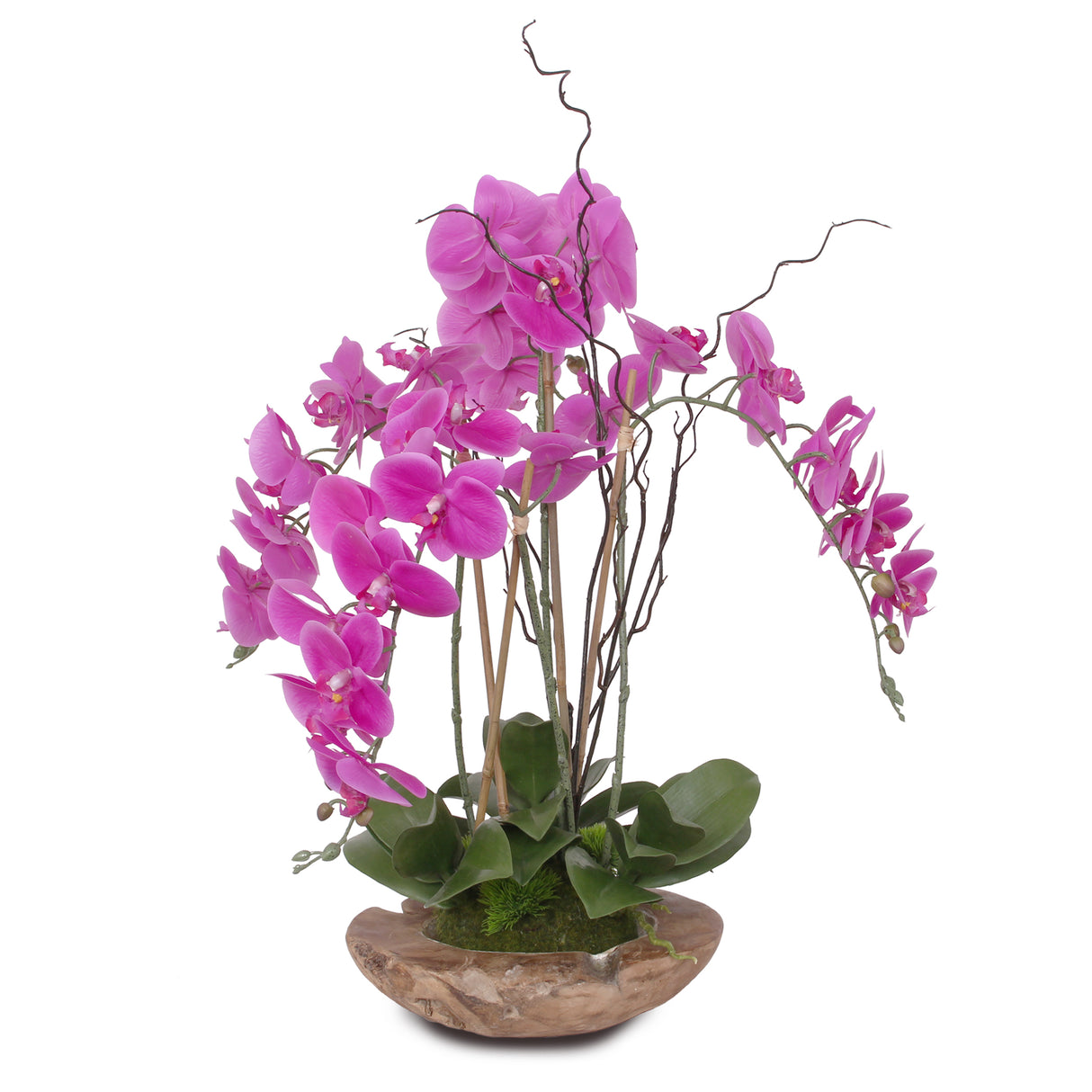 Real Touch Phalaenopsis Silk Orchid with Curly Willow and Succulents in Teak Wood Bowl #43A