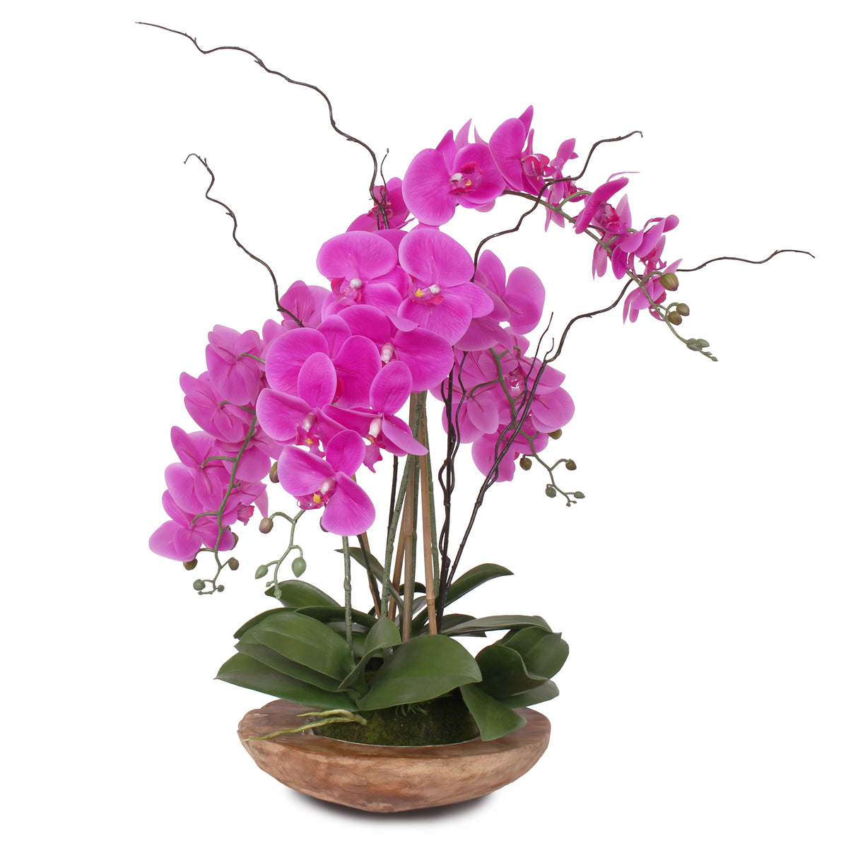 Real Touch Phalaenopsis Silk Orchid with Curly Willow and Succulents in Teak Wood Bowl #43A