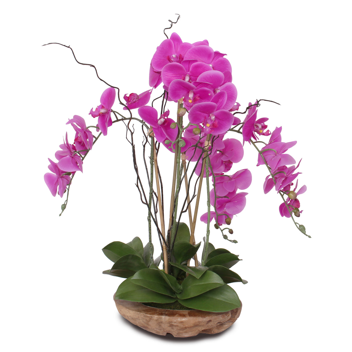 Real Touch Phalaenopsis Silk Orchid with Curly Willow and Succulents in Teak Wood Bowl #43A