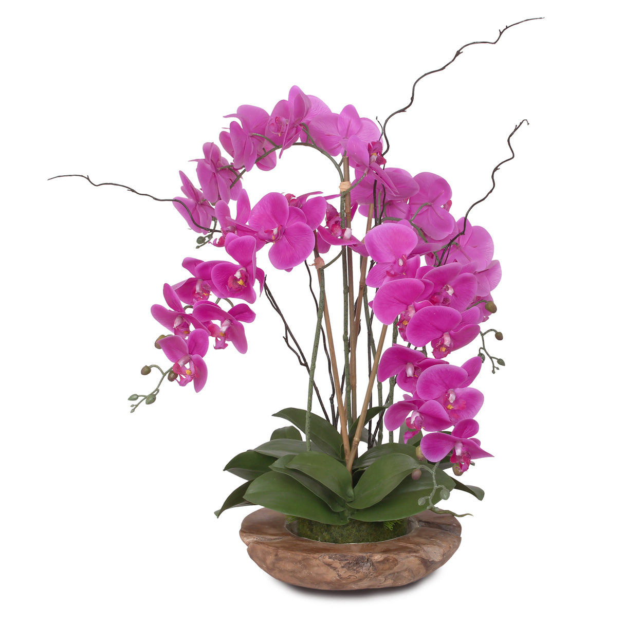 Real Touch Phalaenopsis Silk Orchid with Curly Willow and Succulents in Teak Wood Bowl #43A