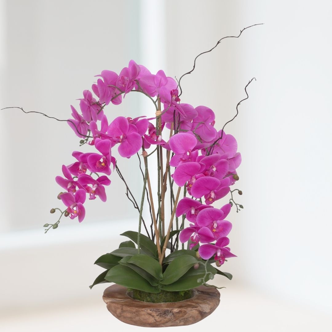 Real Touch Phalaenopsis Silk Orchid with Curly Willow and Succulents in Teak Wood Bowl #43A