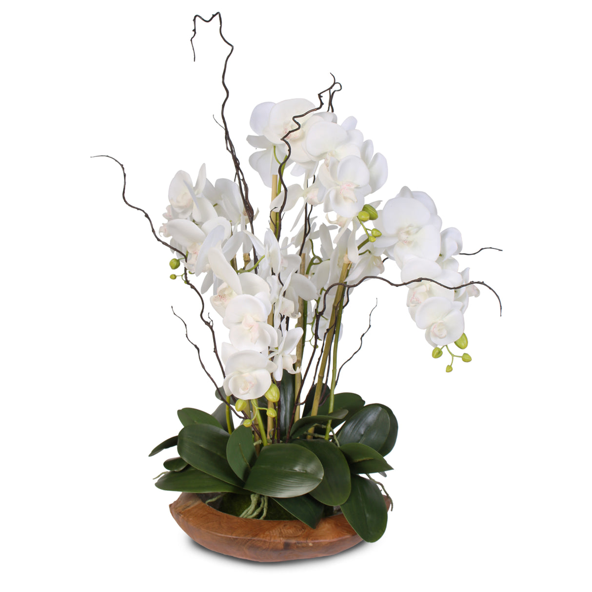 Real Touch 5-Stem Phalaenopsis Silk Orchids in a Natural Teak Bowl #59