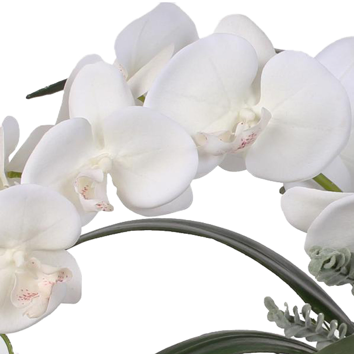 Real Touch 5-Stem Phalaenopsis Silk Orchids in a Natural Teak Bowl #59