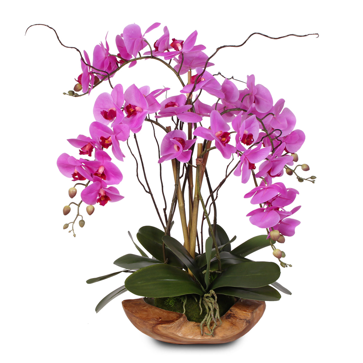 Real Touch 5-Stem Phalaenopsis Silk Orchids in a Natural Teakwood Bowl #59A