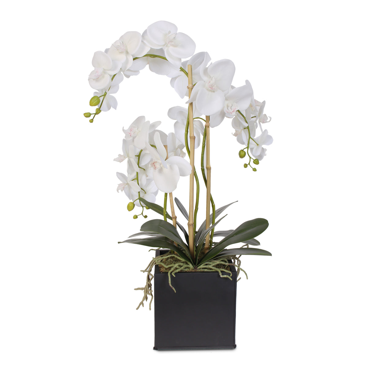 Real Touch Triple-Stem Phalaenopsis Silk Orchid in a Metal Container #6