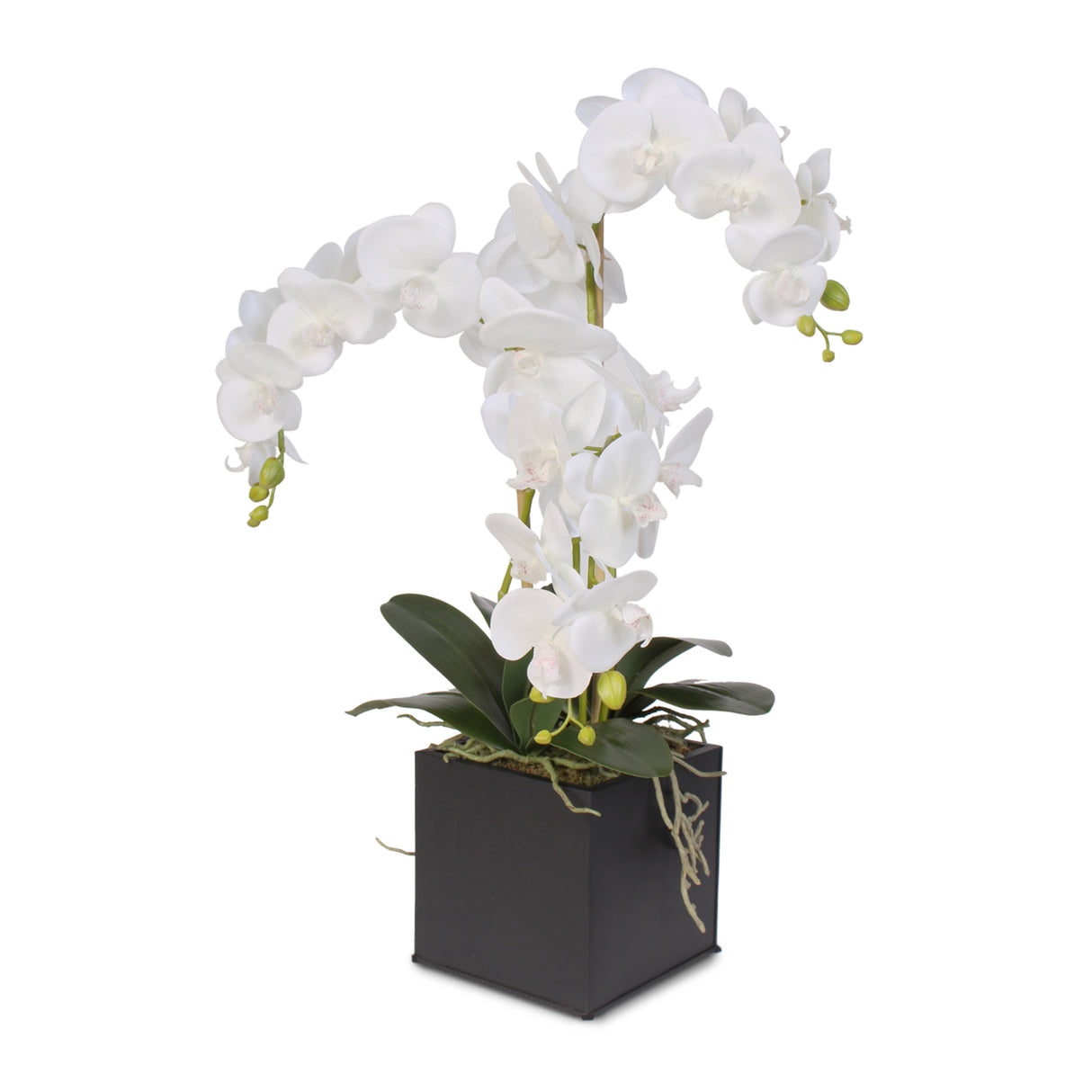 Real Touch Triple-Stem Phalaenopsis Silk Orchid in a Metal Container #6