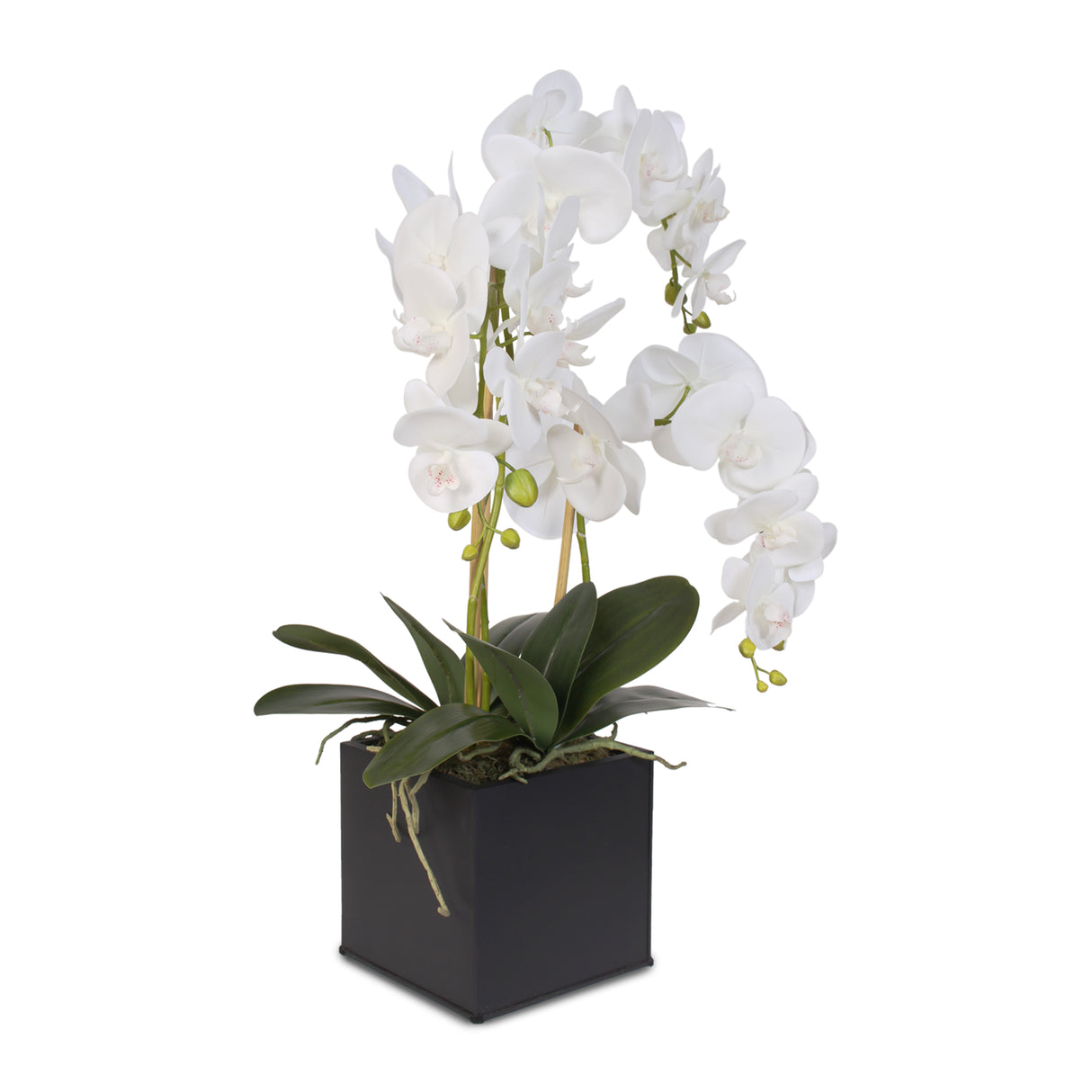 Real Touch Triple-Stem Phalaenopsis Silk Orchid in a Metal Container #6