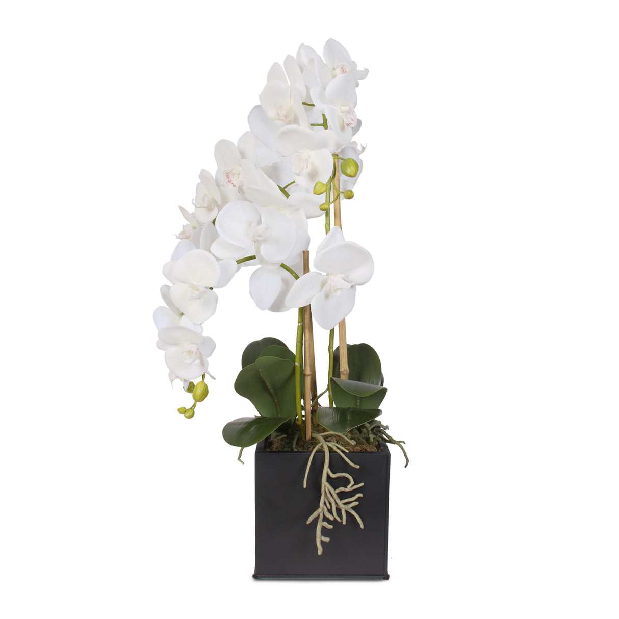 Real Touch Triple-Stem Phalaenopsis Silk Orchid in a Metal Container #6