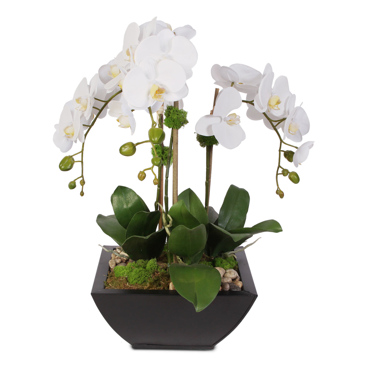 Real Touch Orchid & Succulents in a Contemporary Metal Pot #F-6H