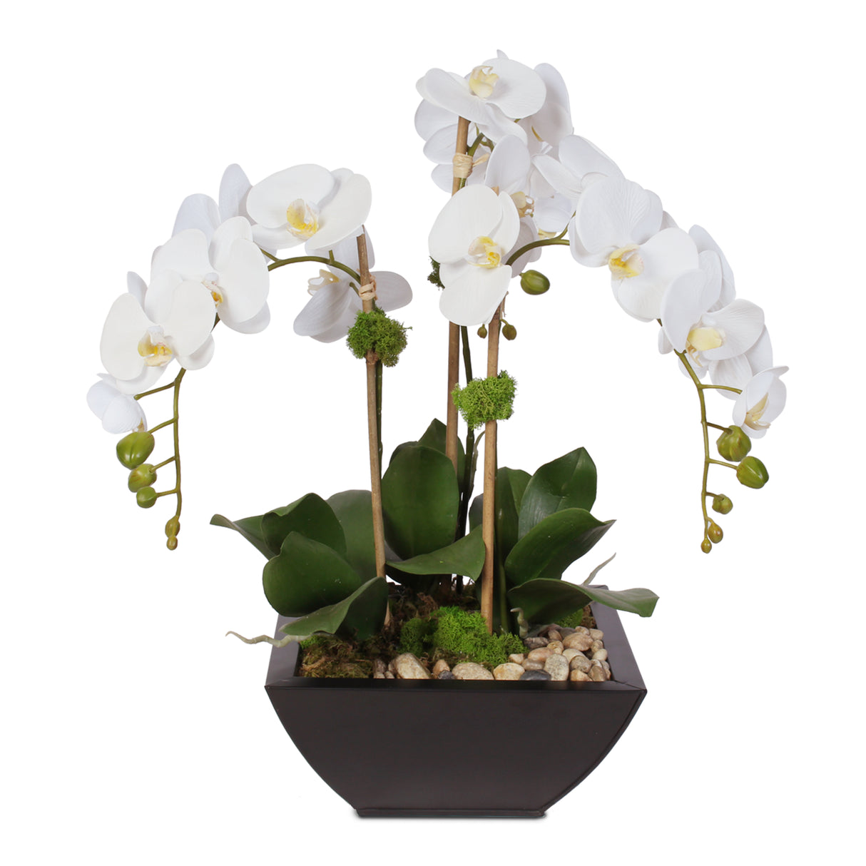 Real Touch Orchid & Succulents in a Contemporary Metal Pot #F-6H