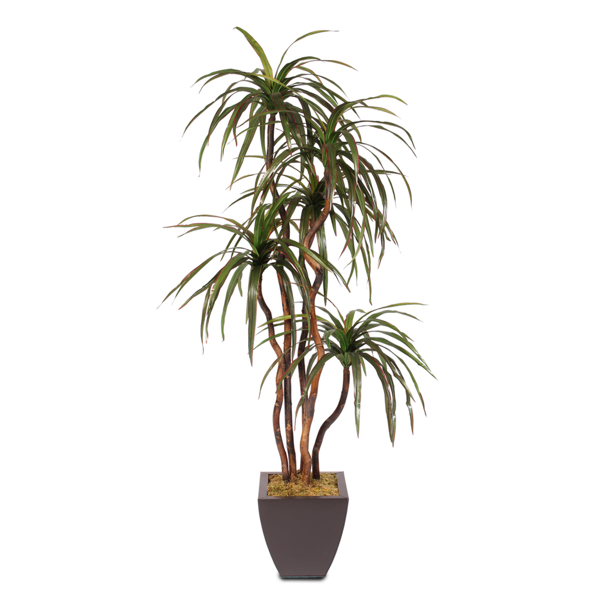 natural wood trunk, silk yucca tree, artificial tree, artificial flowers, silk flowers, home decor, modern, contemporary