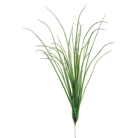 succulent, artificial plant, silk flowers, air plant, Tillandsias, Bromeliaceae