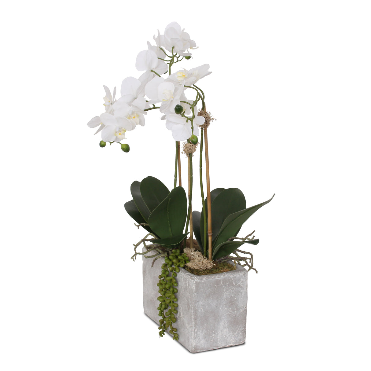 Real Touch Orchids with Succulent in Stone Wash Pot Arrangement #F-100