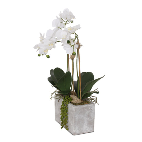 Real Touch Orchids with Succulent in Stone Wash Pot Arrangement #F-100