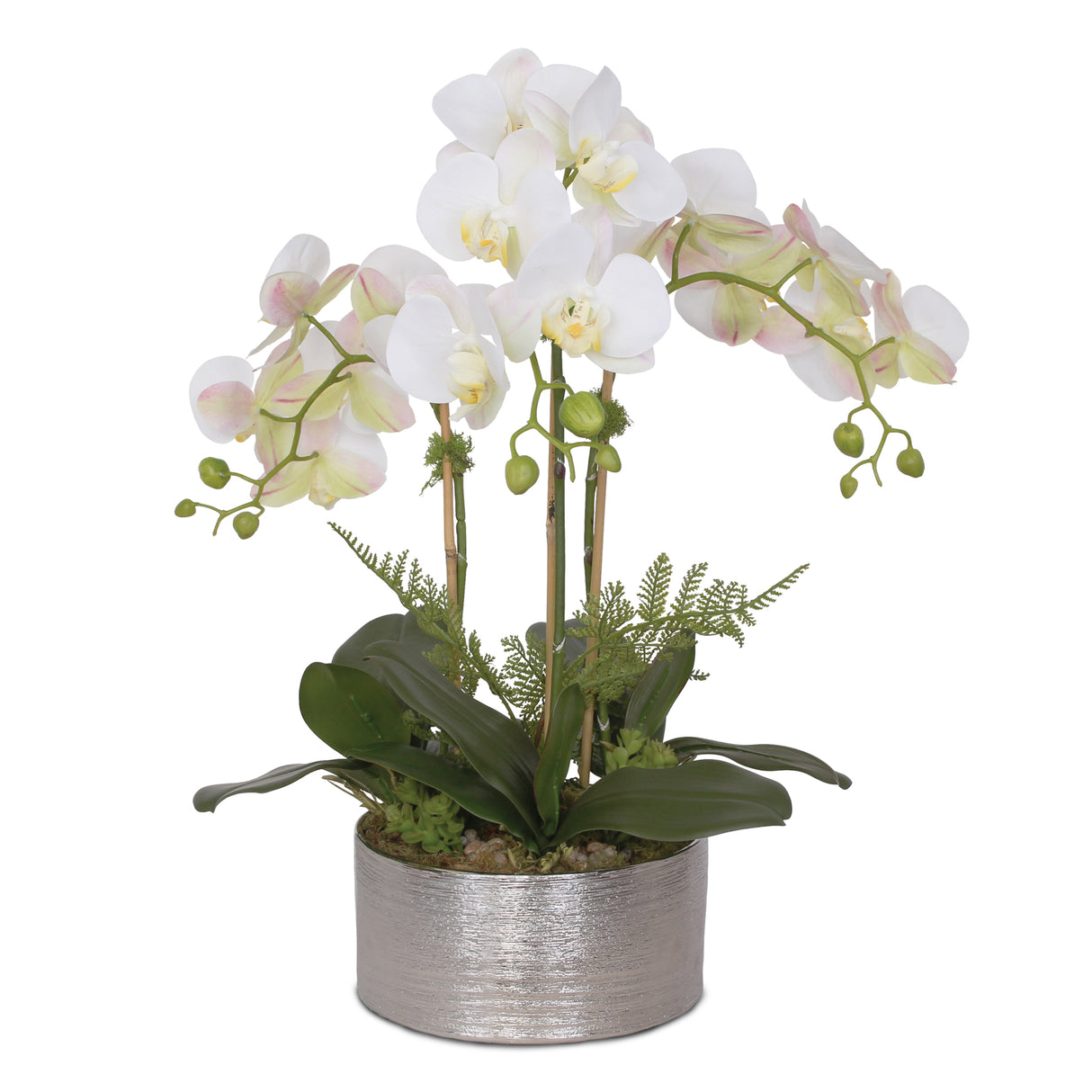 Jenny Silks Real Touch White/Pink accent Phalaenopsis Orchids with Ferns Flower Arrangement #F-119