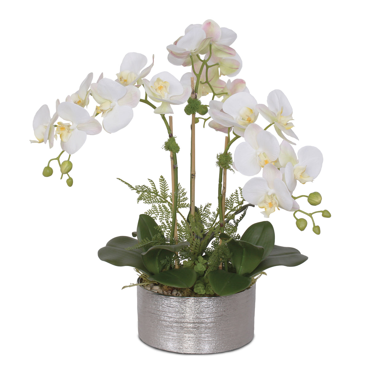 Jenny Silks Real Touch White/Pink accent Phalaenopsis Orchids with Ferns Flower Arrangement #F-119