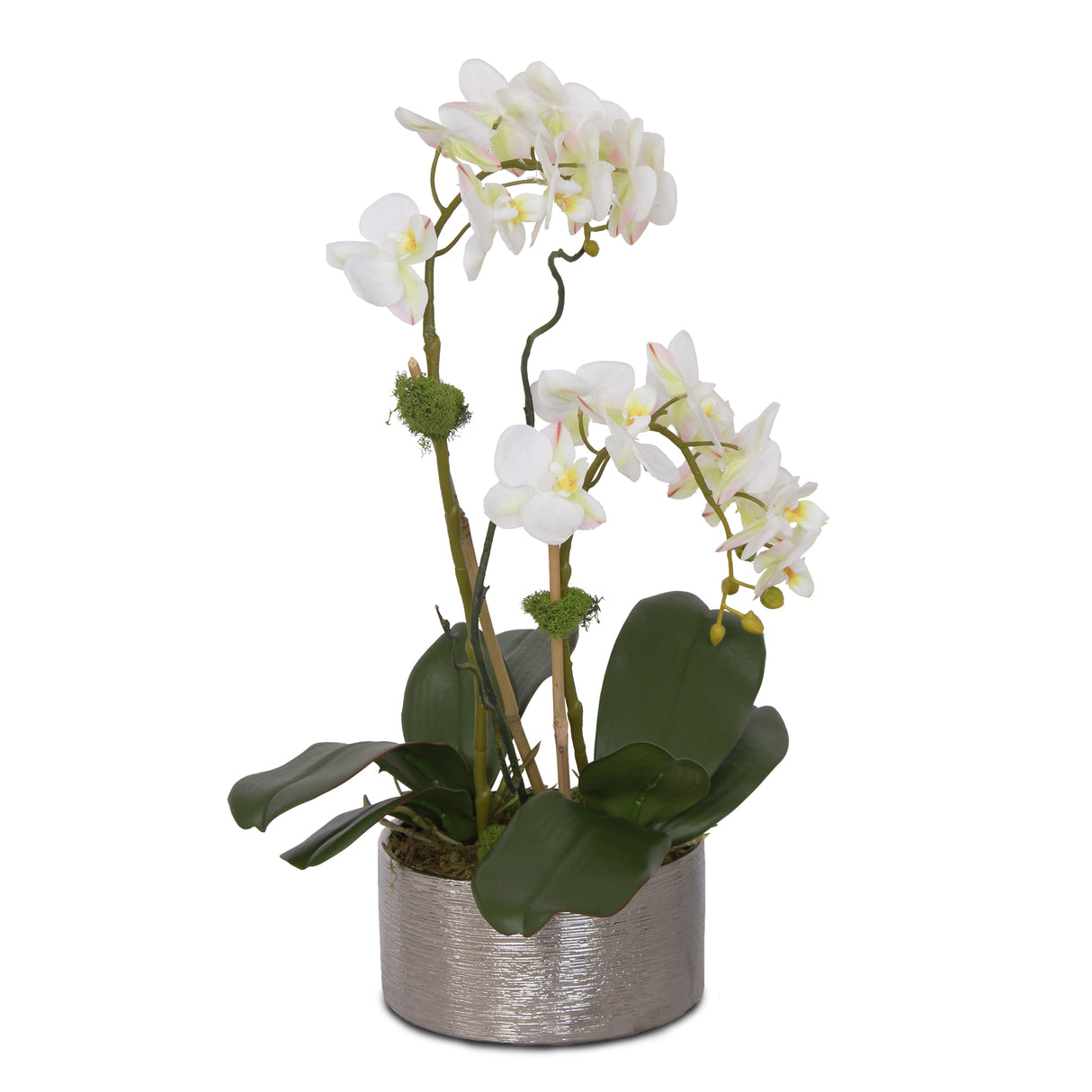 Real Touch White, Pink Accent Phalaenopsis Orchids Arrangement in Round Silver Ceramic Pot # F-126