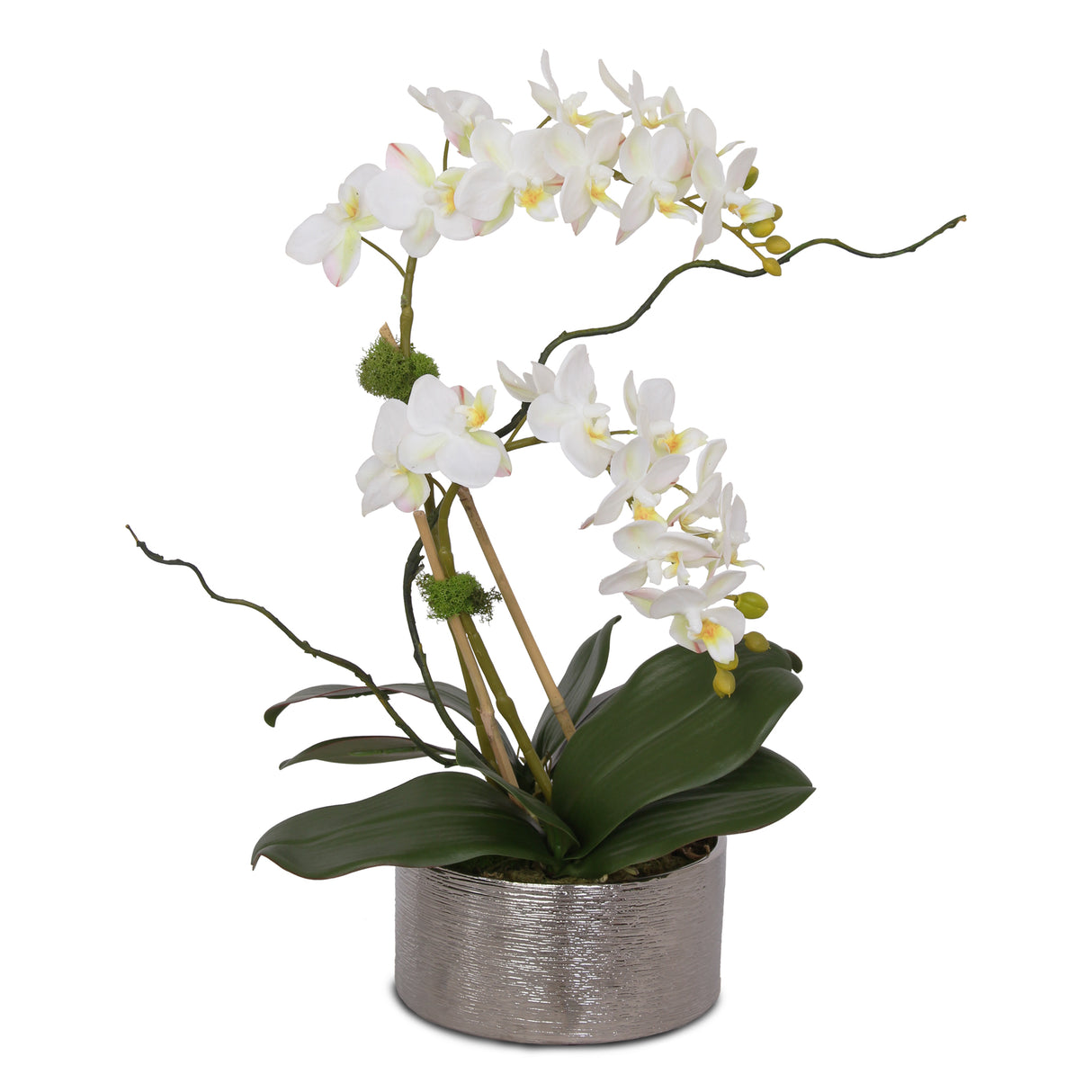 Real Touch White, Pink Accent Phalaenopsis Orchids Arrangement in Round Silver Ceramic Pot # F-126