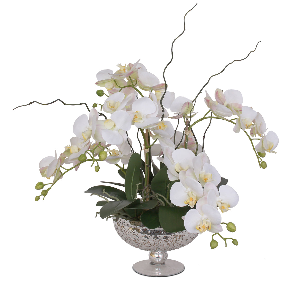 Real Touch White Phalaenopsis Orchids Flower Arrangement in Glass Pedestal Bowl #F-129