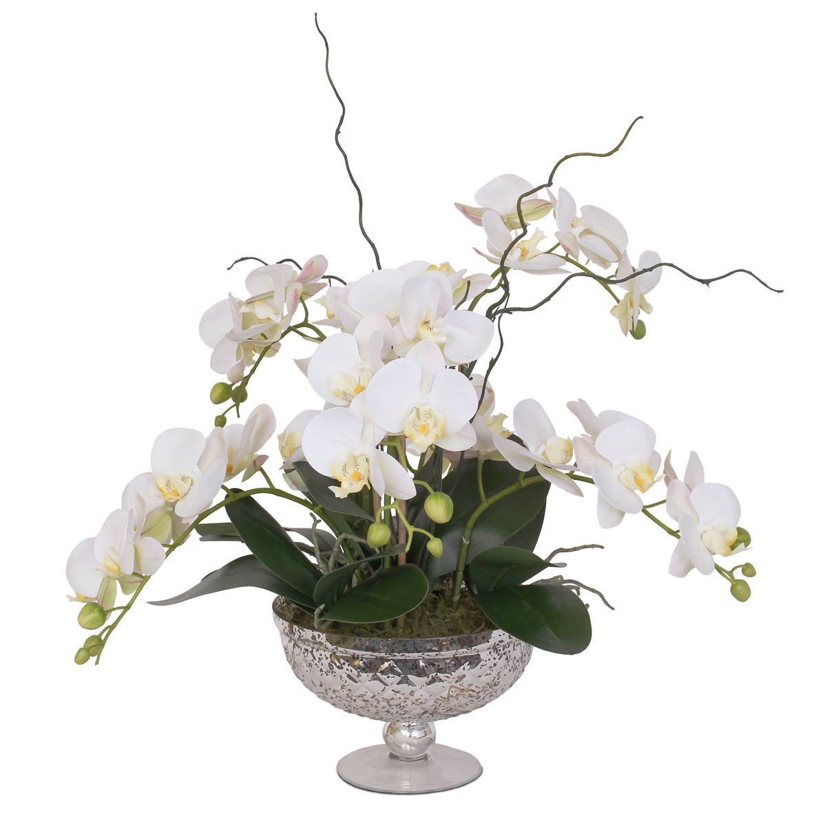 Real Touch White Phalaenopsis Orchids Flower Arrangement in Glass Pedestal Bowl #F-129
