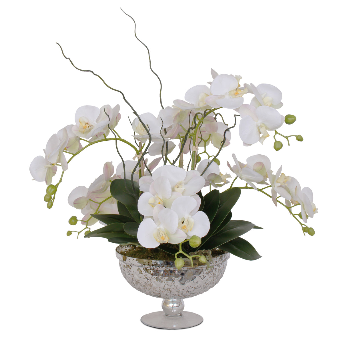 Real Touch White Phalaenopsis Orchids Flower Arrangement in Glass Pedestal Bowl #F-129