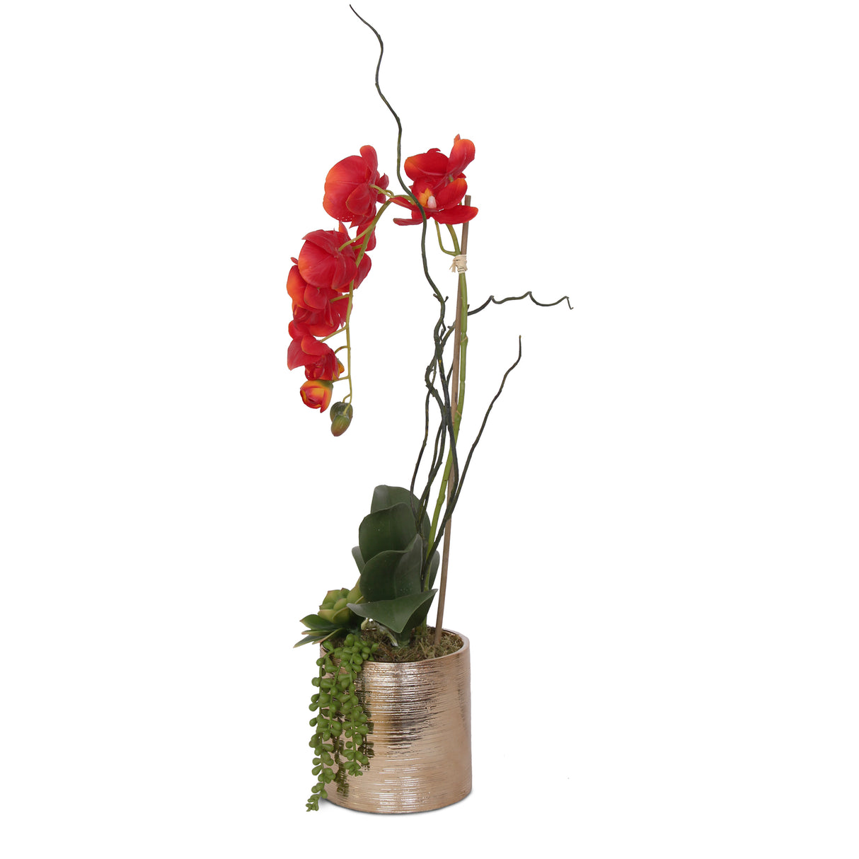 Jenny Silks Real Touch Red Phalaenopsis Orchid, Succulent and Curly Willow Flower Arrangement#F-140