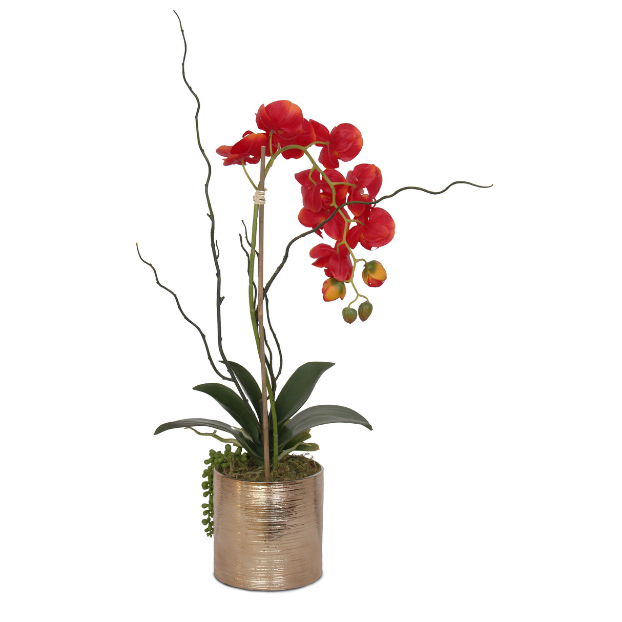 Jenny Silks Real Touch Red Phalaenopsis Orchid, Succulent and Curly Willow Flower Arrangement#F-140