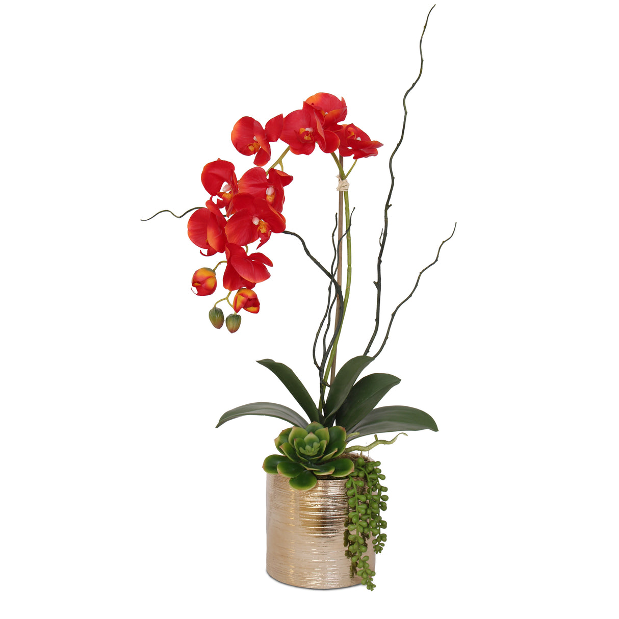Jenny Silks Real Touch Red Phalaenopsis Orchid, Succulent and Curly Willow Flower Arrangement#F-140