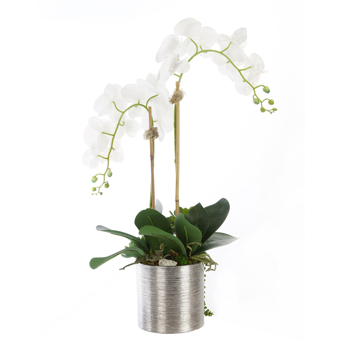 Real Touch White Orchid Flower Arrangement In Silver Ceramic Pot #F-160