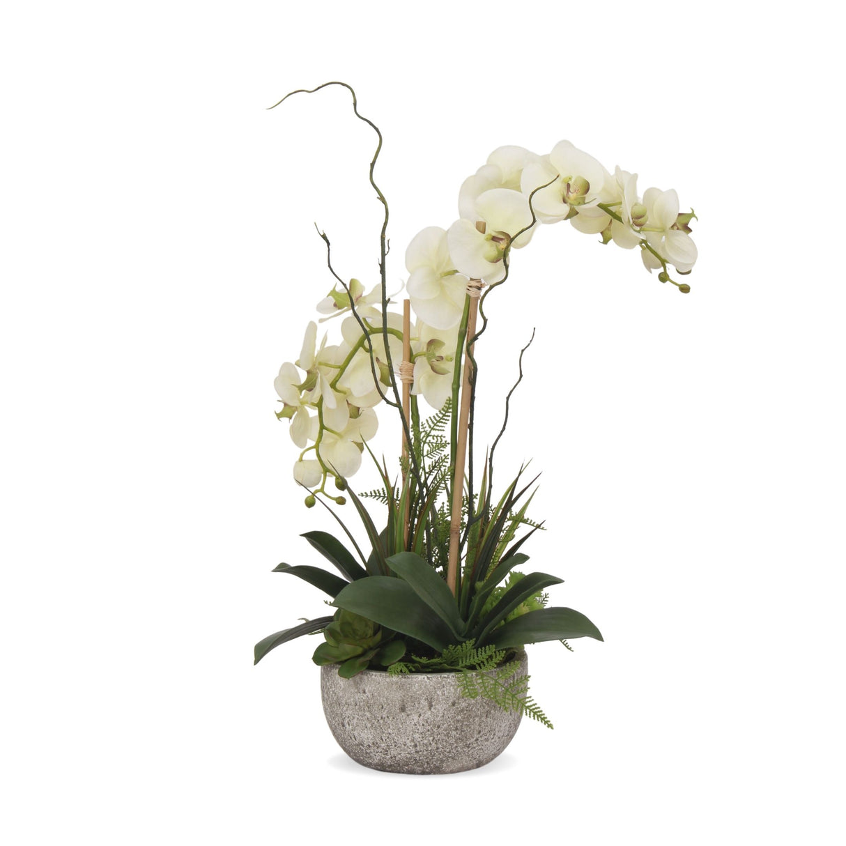 Real Touch Cream Green Orchid With Succulents, Fern, Grass Arrangement in Moss Green Round Pot #F-164
