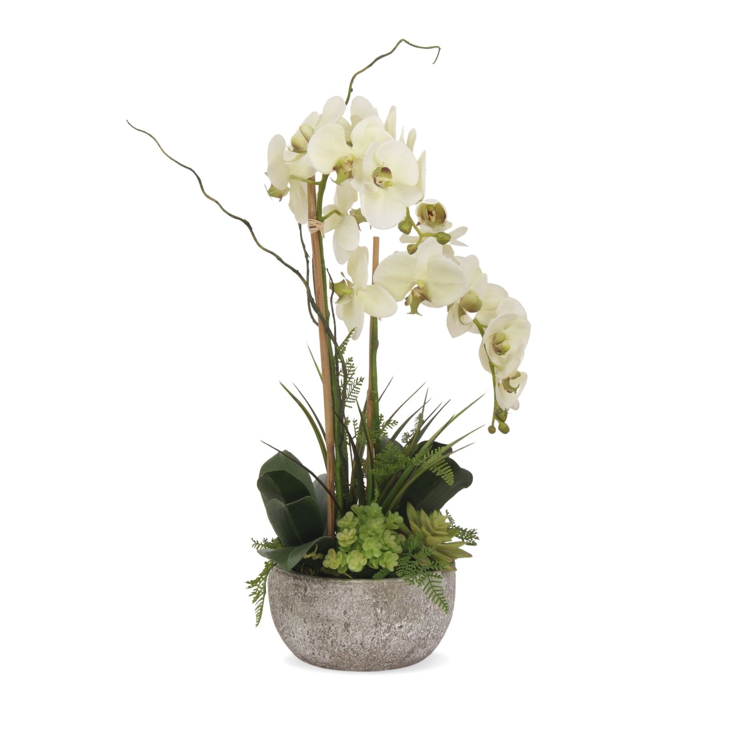Real Touch Cream Green Orchid With Succulents, Fern, Grass Arrangement in Moss Green Round Pot #F-164