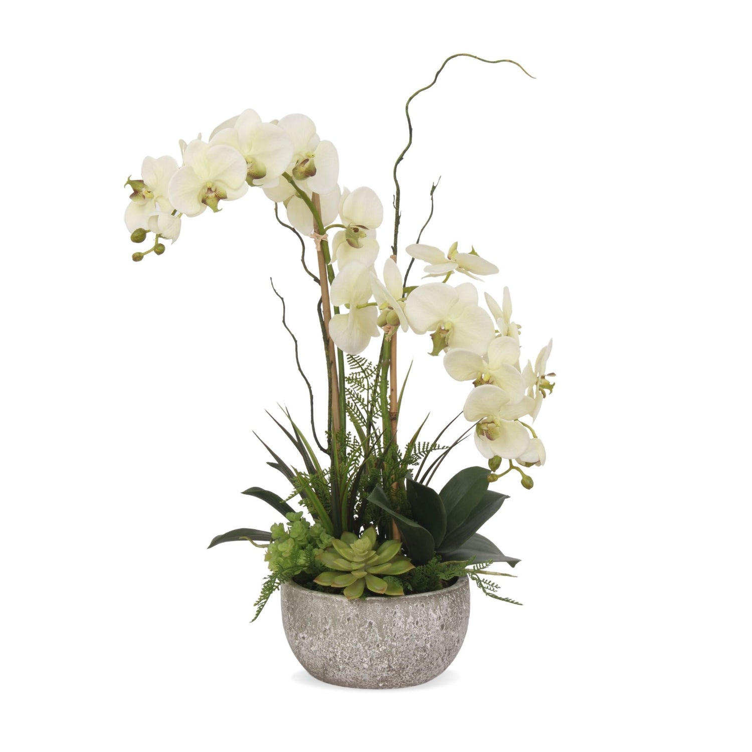 Real Touch Cream Green Orchid With Succulents, Fern, Grass Arrangement in Moss Green Round Pot #F-164