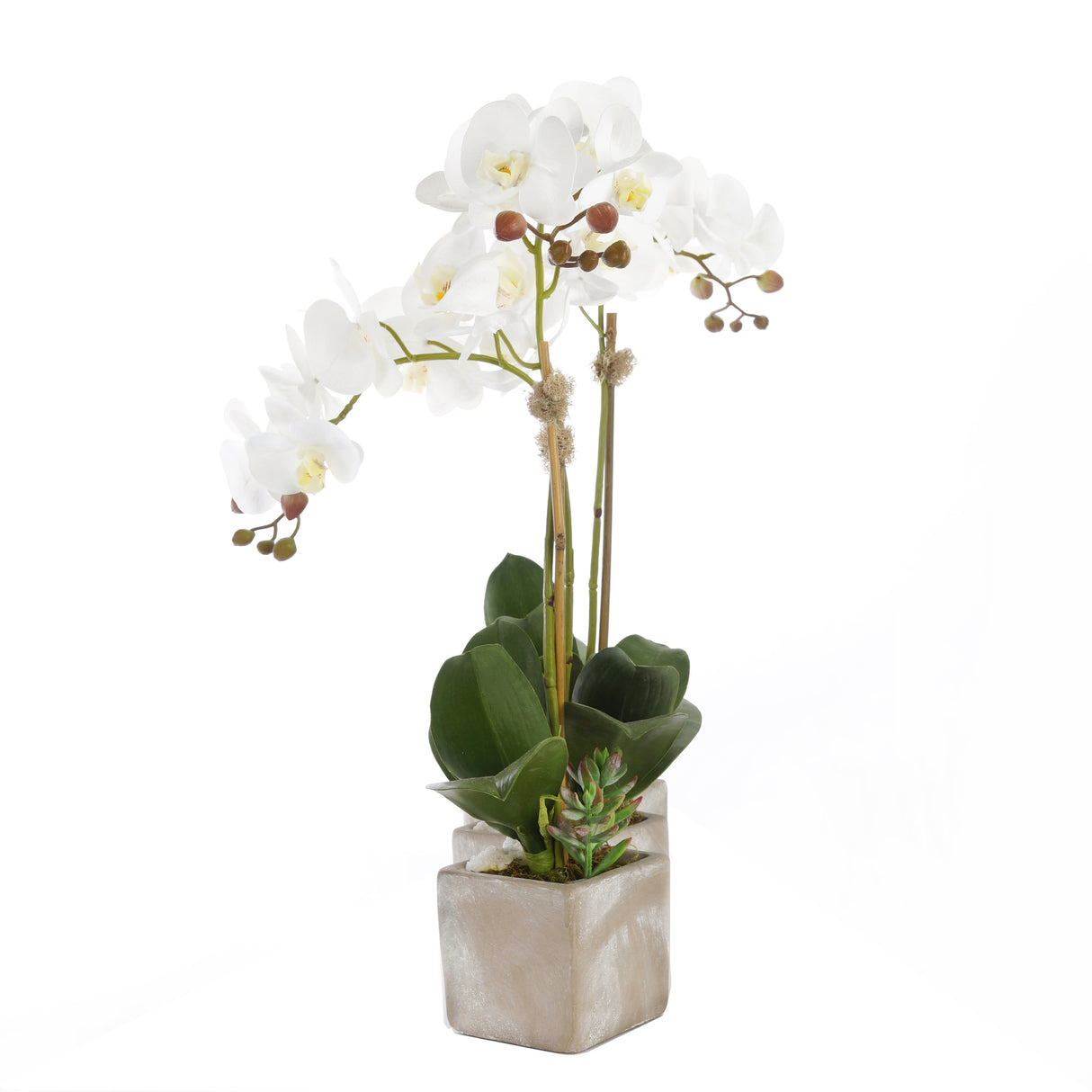 Three Sisters Real Touch White Orchid Arrangement in Stone Wash Triple Pot F-176
