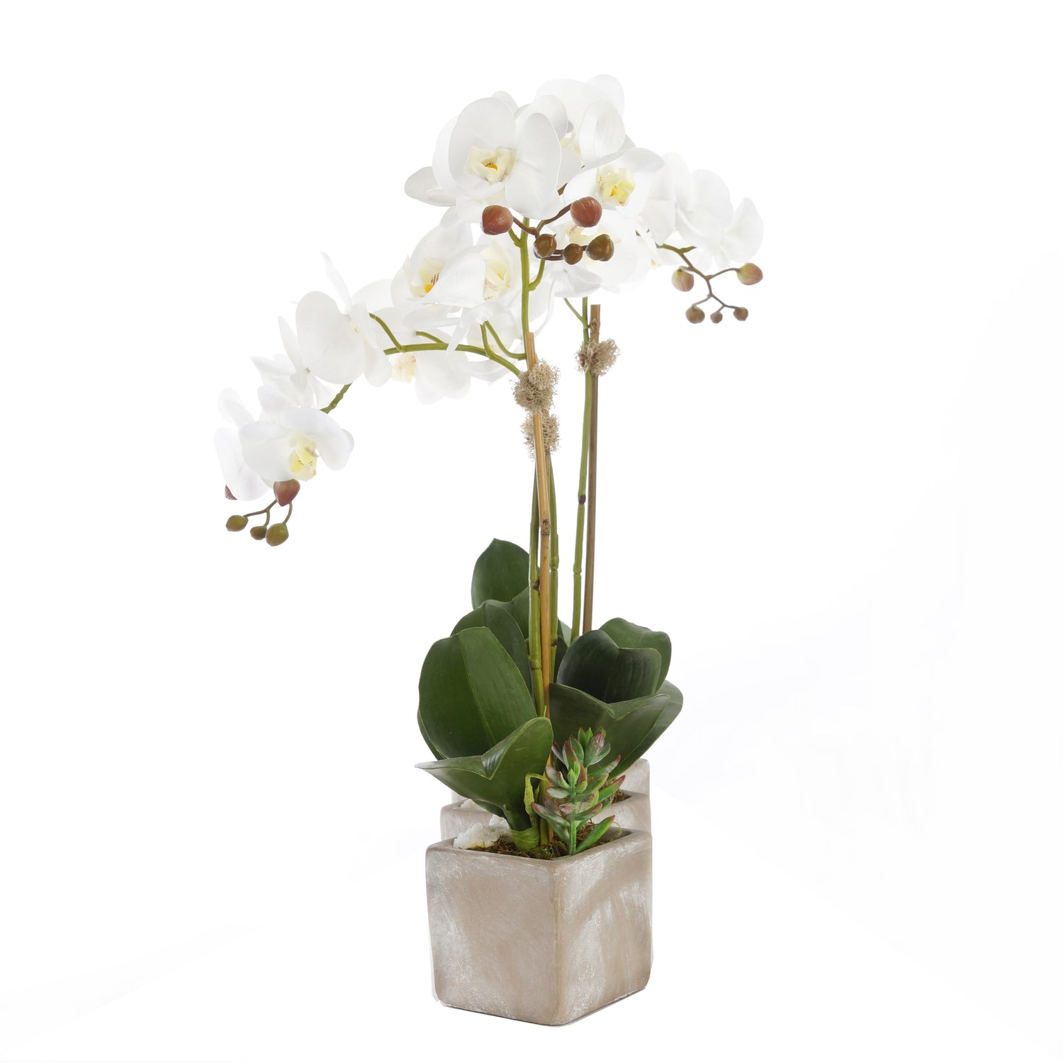 Three Sisters Real Touch White Orchid Arrangement in Stone Wash Triple Pot F-176
