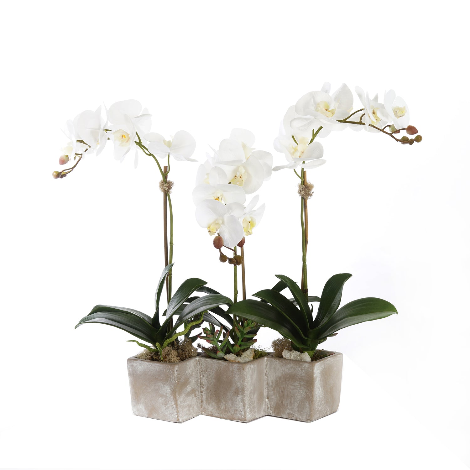 Three Sisters Real Touch White Orchid Arrangement in Stone Wash Triple Pot F-176
