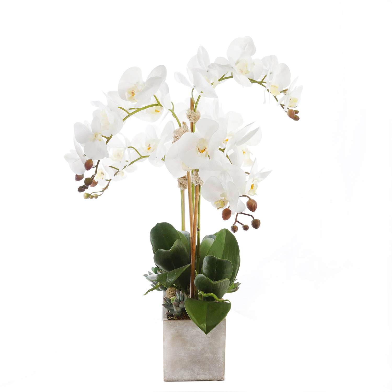 Modern Real Touch White Orchids, Geodes & Succulents Flower Arrangement in White Wash Rectangle Stone Pot#F-179