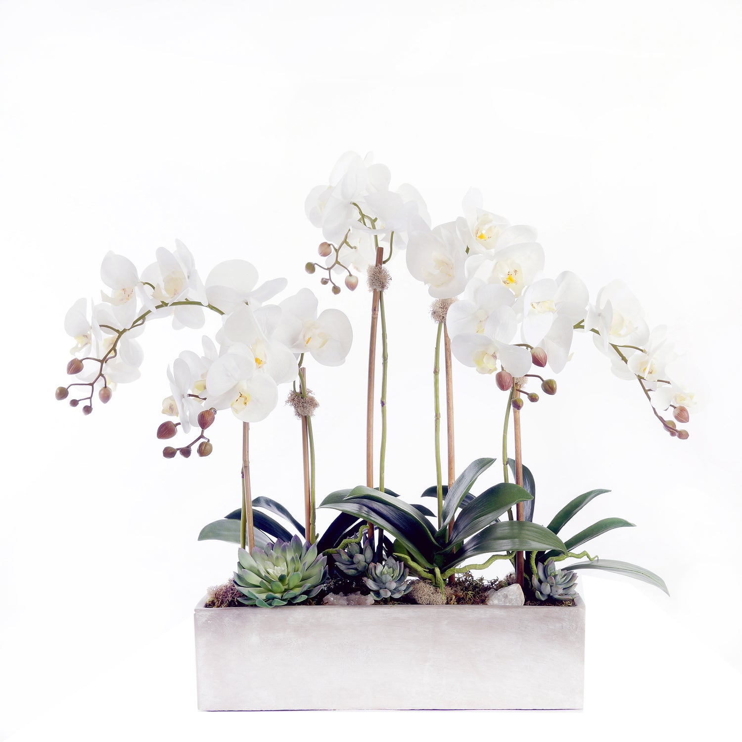 Modern Real Touch White Orchids, Geodes & Succulents Flower Arrangement in White Wash Rectangle Stone Pot#F-179