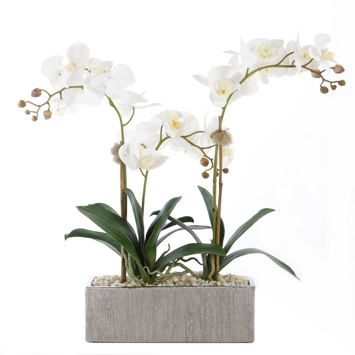 Real Touch Cream White Phalenophsis Orchids with Geodes & White Pebbles Flower Arrangement in Silver Rectangle Planter#F-180