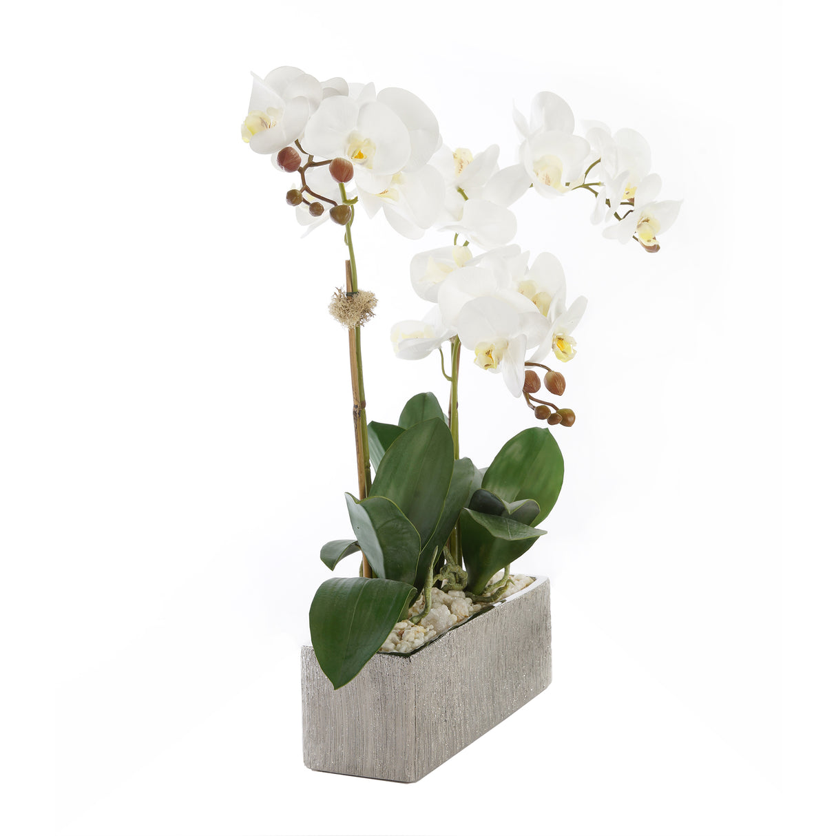 Real Touch Cream White Phalenophsis Orchids with Geodes & White Pebbles Flower Arrangement in Silver Rectangle Planter#F-180