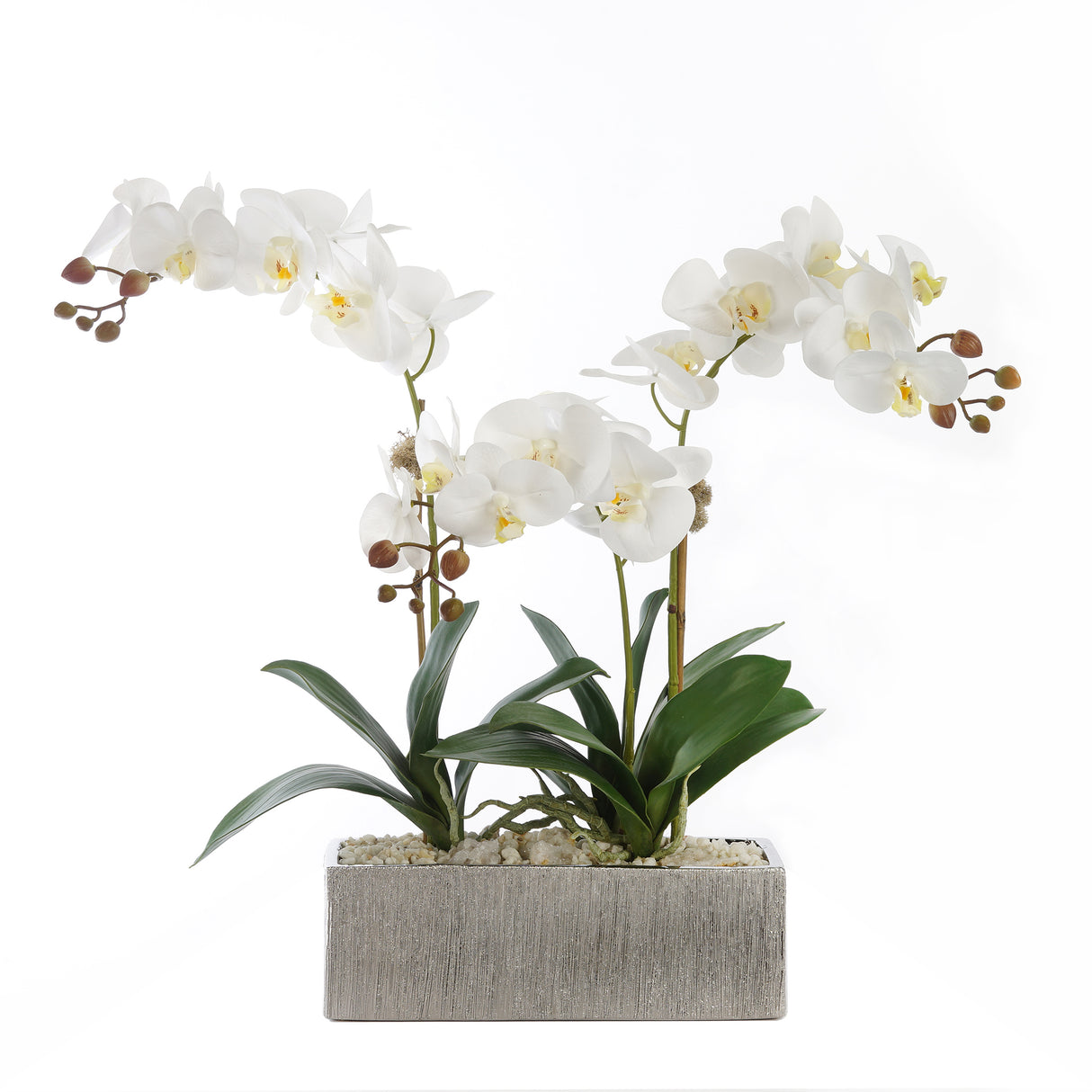 Real Touch Cream White Phalenophsis Orchids with Geodes & White Pebbles Flower Arrangement in Silver Rectangle Planter#F-180