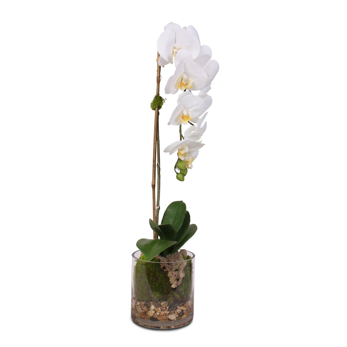 Real Touch White Phalaenopsis Orchid and leaf in a Sleek Glass Vase #F-24
